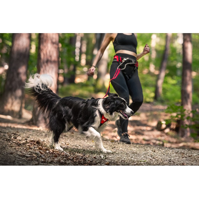 JK9 Speed Running Belt - Red