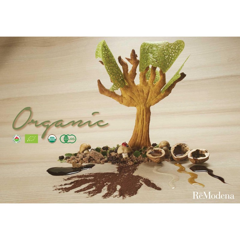 Organic Sweet & Dense Balsamic Vinegar of Modena 8.45 fl