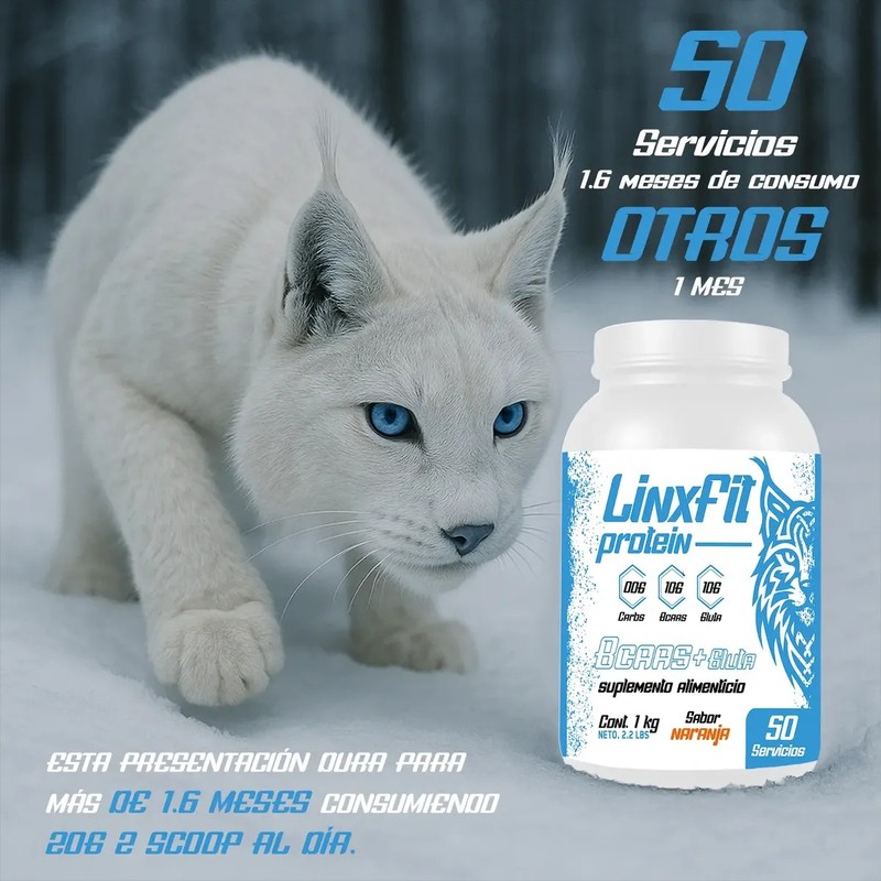 Bcaas Glutamina Linx Fit 1kg 50 Servicios Varios Sabores
