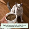 Open Farm, Grain Free Dry Kitten Food, Nutrient Dense Kibble