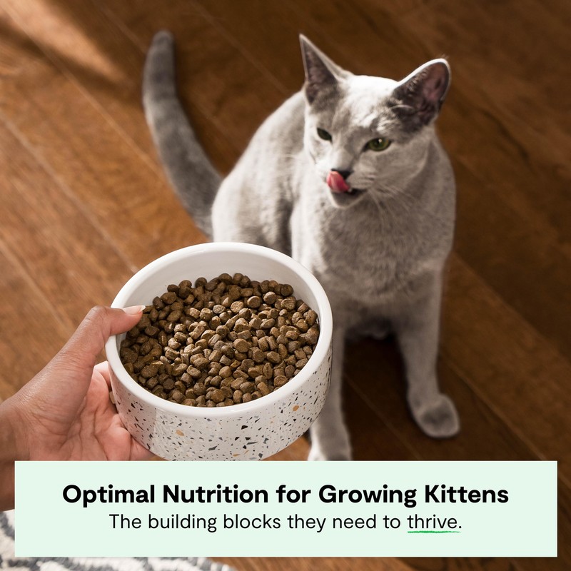 Open Farm, Grain Free Dry Kitten Food, Nutrient Dense Kibble
