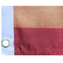 USA Vintage An Appeal To Heaven WASHINGTON CRUISERS 100D 3x5 3'x5' Flag Banner