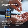 HEALTHADDICTION - Probiticos Para Colesterol Floralip - Apoyo Digestivo y