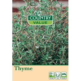 Country Value THYME Seeds