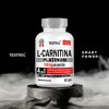 Testrol Platinum L-carnitina 1300mg 90 Cápsulas Sin Sabor