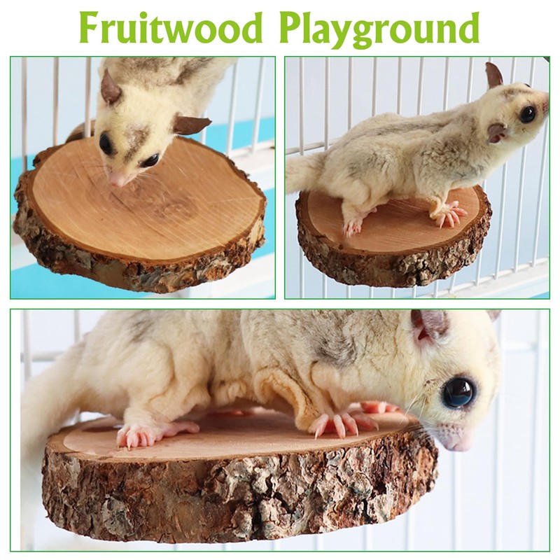 BNOSDM 6 Packs Wood Sugar Glider Toys Wooden Sugar Glider