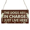 Second Ave Funny The Dogs Are in Charge Pet Lover
