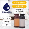 Daiwa PPTH601 Condiment Container, Push One W, PU-10, Brown