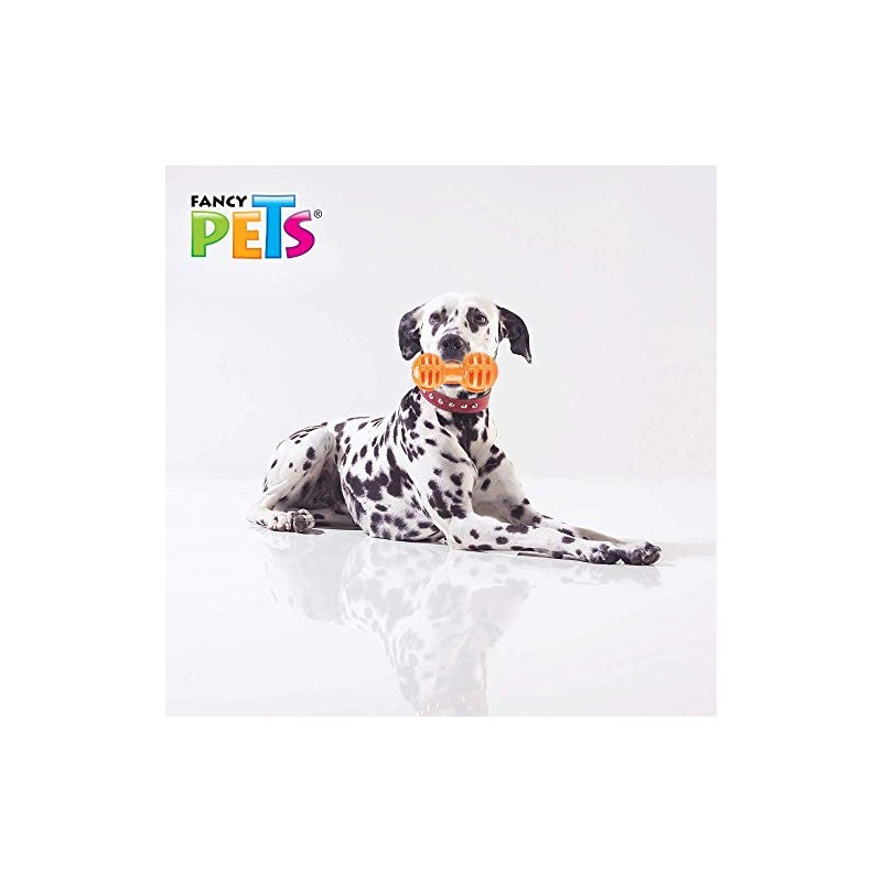 Fancy Pets Juguete Pesa para Meter Premios para Perros Tamaño