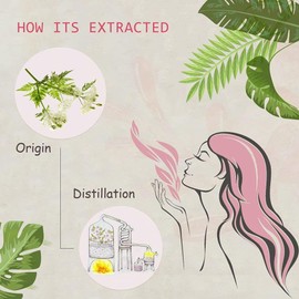 2-PACK Myrrh Essential Oil - 100% Pure Organic Natural Plant (Commiphora myrrha) Myrrh Oil for Diffuser, Aroma, Spa, Massage, Yoga, Perfume, Body - 2x10ML