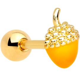 Body Candy 16G Womens PVD Steel Orange Fall Acorn Cartilage Earring Helix Tragus Jewelry 1/4"