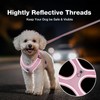 Feycig Dog Harness for Small Dogs, Anti-Pull Adjustable Reflective Harness,