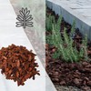 Kalapanta - Bark, Larch Bark, Substrate, Bark for Orchids, Ideal