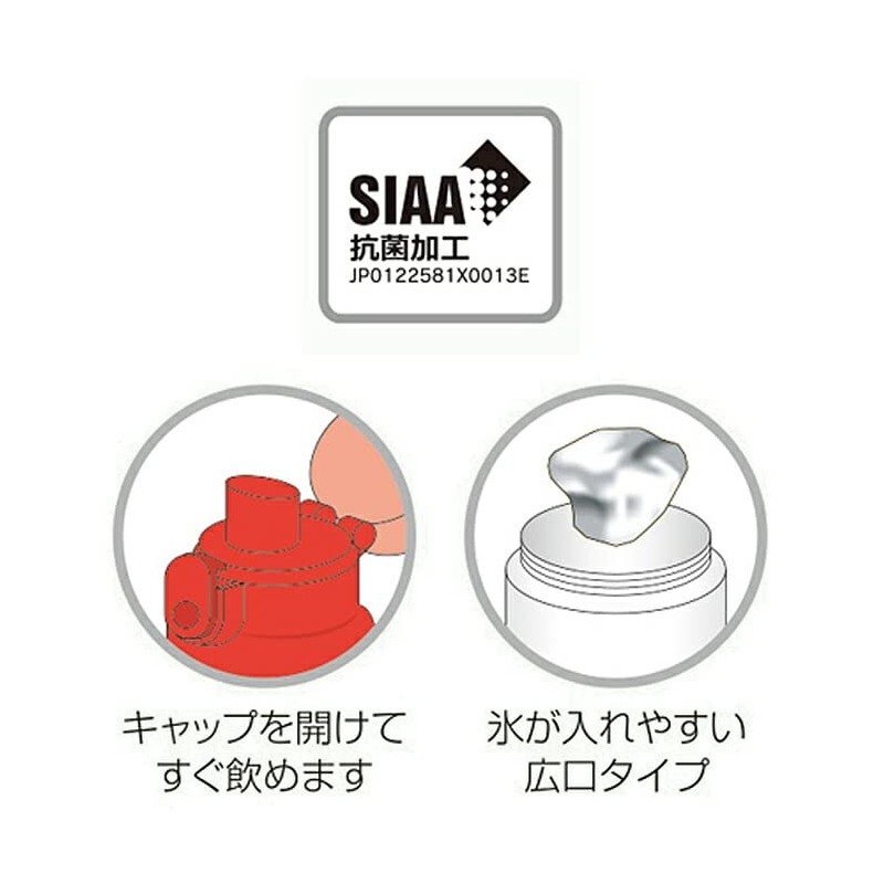 Square Bear School Antibacterial Dishwasher Safe One-Touch Bottle (Red) 811008