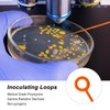 CryoKing Vaccination Loops, Disposable Vaccination Rings, Sterilisation Sticks, Microbiological Eyelet