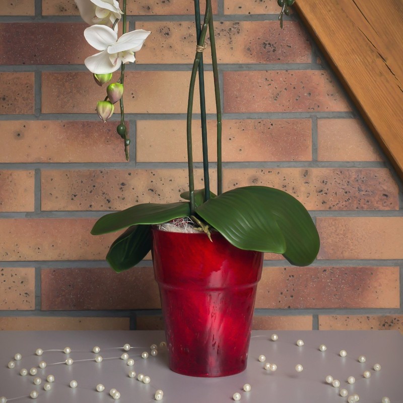 Polnix Flower Pot Round Orchid Pot Orchid Diameter 130 mm