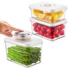 ZKIRON 3 Vacuum Seal Containers Set with Sealer Machine -