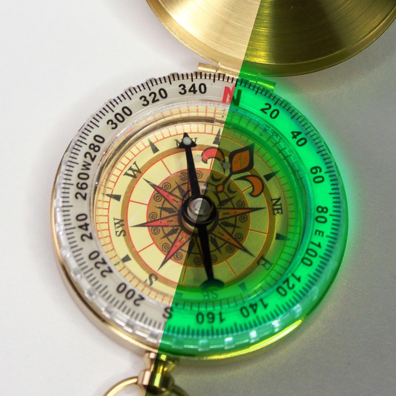 FISHTEC Magnetic Navigation Compass Gold - Gift Box, Phosphorescent, Pocket