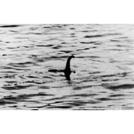 Scary Loch Ness Monster PHOTO Freaky Monster Nessie