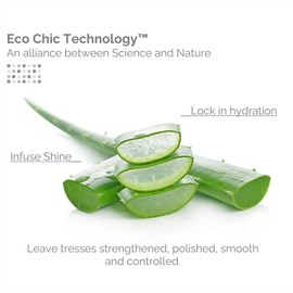 GIOVANNI Eco Chic Smooth as Silk Deep Moisture Shampoo - Apple + Aloe Extracts, Calms Frizz, Detangles, Wash & Go, Lauryl & Laureth Sulfate Free, Paraben Free, Color Safe - 128 oz