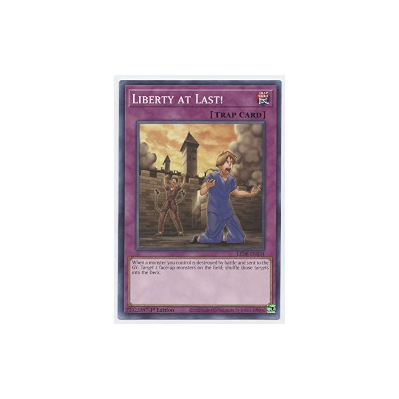 Liberty at Last! - LED8-EN034 - Common - 1st Edition