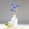 Abaodam Ceramic Balls Set of 3 Blue and White 5.00X5.00X5.00cm