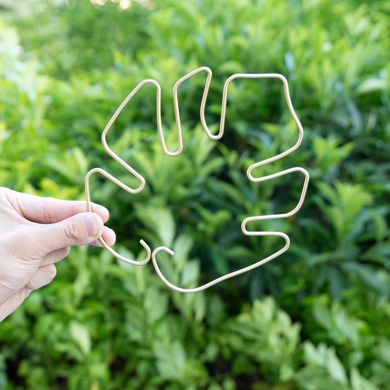 GOOOXIM 5PCS Plant Stem Support - Durable Monstera Stabilizer Grapple