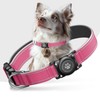 Collar para Perros Impermeable IP68 Mejorado con Soporte para AirTag