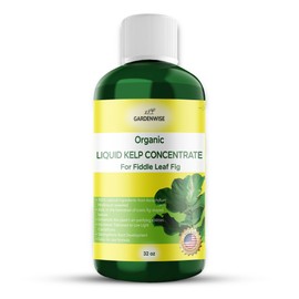 GARDENWISE Fiddle Leaf Fig Plant Food – Liquid Seaweed Kelp Fertilizer for Plants – Made in USA (32 OZ)
