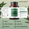 Lungwort Capsules - 5 Compartments Combination with Eucalyptus and NAC