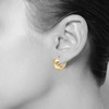 Hoop Earrings for Women, 18K Gold Plated Earrings for Women｜Small