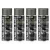 16-54 Seymour Stainless-Blast, Specialty Automotive Stainless Steel Spray Paint net