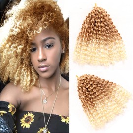9Bundles Passion Twist Hair Marlybob Crochet Braids Hair Kinky Curly Crochet Hair Marly Twist Crochet Hair Short Crochet Hair Extensions for Black Women (8Inchs(9bundles), #T27-613)