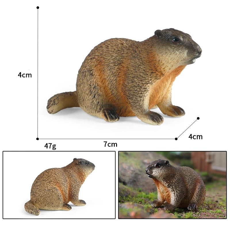 titihuirie 3PCS Groundhog Figurine Groundhog Sculpture Groundhog Model Animal Model