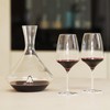 Stölzle Lausitz Fire Decanter Vino 375 ml – Elegante Caraffa