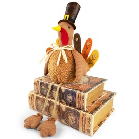 LOCKASEN Turkey Decorations for Thanksgiving – Cute Fall Turkey Plush with Pilgrim Hat, Harvest Figurine for Table, Window, Kitchen, Centerpieces, Tiered Tray, Shelf, Mantel, Gifts for Women