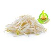 Todd's Seeds® Sprouting Seeds Mung Bean, Chinese Bean Sprouts, 5