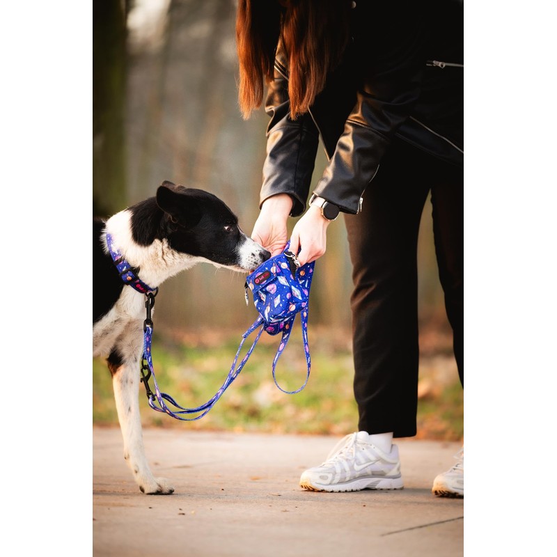 Helltails Leckerlitasche & Leckerlibeutel für Hunde | Hundetütenspender mit 2