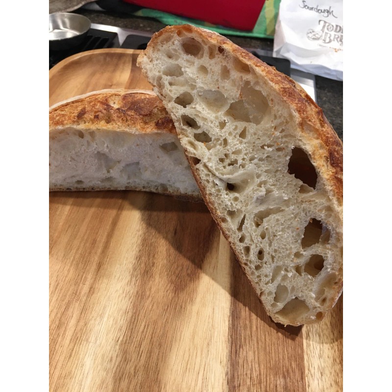 ZOURDOUGH SOURDOUGH The Apostle sourdough starter yeast New Release for
