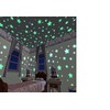 Glow in The Dark Stars (100 Pack) (Green)