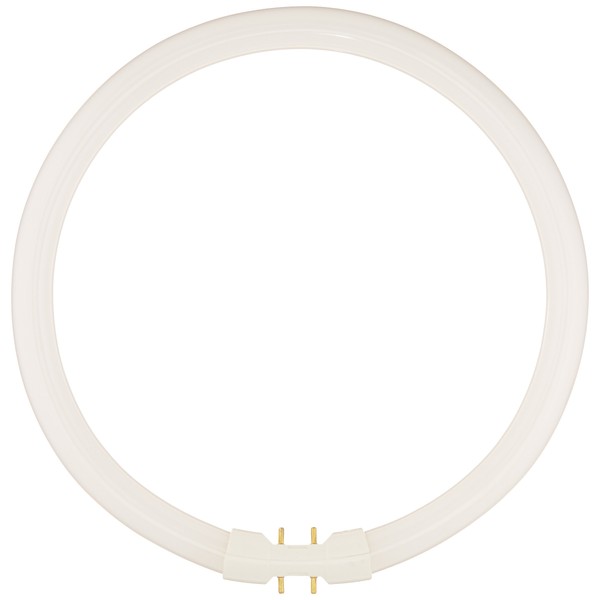 Bulbrite FC9T5 841 22-Watt Circline Fluorescent T5 Bulb, 800 Series,