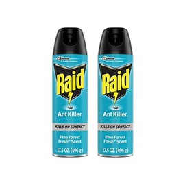 Raid Ant Killer Spray Pine Forest (17.5 Ounce (Pack of 2)