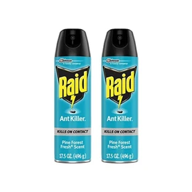 Raid Ant Killer Spray Pine Forest (17.5 Ounce (Pack of 2)