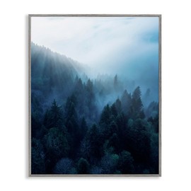 Stupell Industries Daylight over Pine Forest Mountain with Fog Wall Art, 16 x 20, Blue