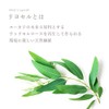 Access Super Thin Dense Mask, SILKY MASK, Set of 7,