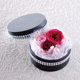 Daichi Farm DO001510-101 Preserved Flowers, Soft Pyramid Hydrangea Head, Baby Pink, Approx. 2 Wheels (7-15G)