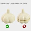 Garlic Puzzle, Space Sense Exercise 3D Garlic Puzzle for Birthday