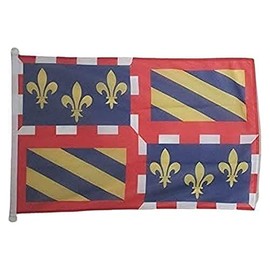 Burgundy Flag 3' x 5' External use rings