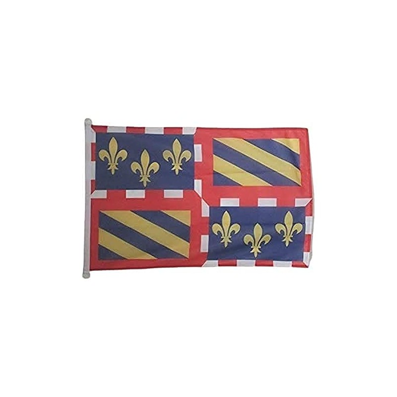 Burgundy Flag 3' x 5' External use rings