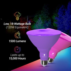 Bluex Bulbs 2 Pack BlueX LED Par38 Flood Blue Light Bulb - 18W (120Watt Equivalent) - Damp Rated Dimmable - E26 Base Red LED Lights